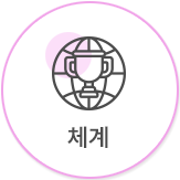 체계